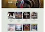 design book author website redesign elementor website, ebook landing page deisgn